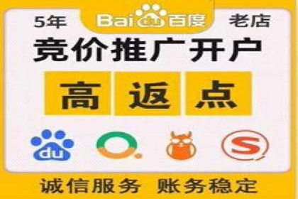 知名SEM服务公司成功案例分享